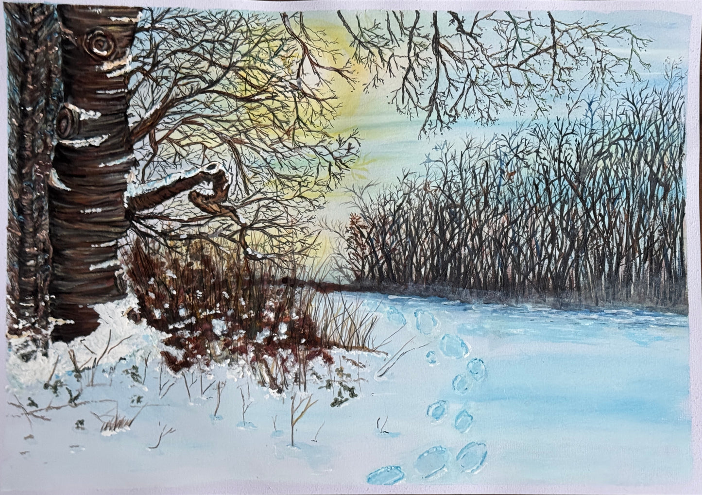 Footprints in fresh snow beside a forest of bare trees under a soft sky
