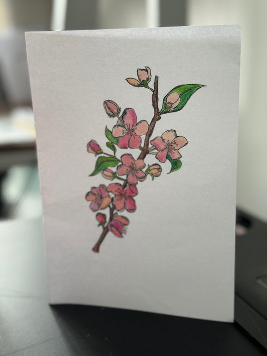 Cherry Blossom Art Print Card