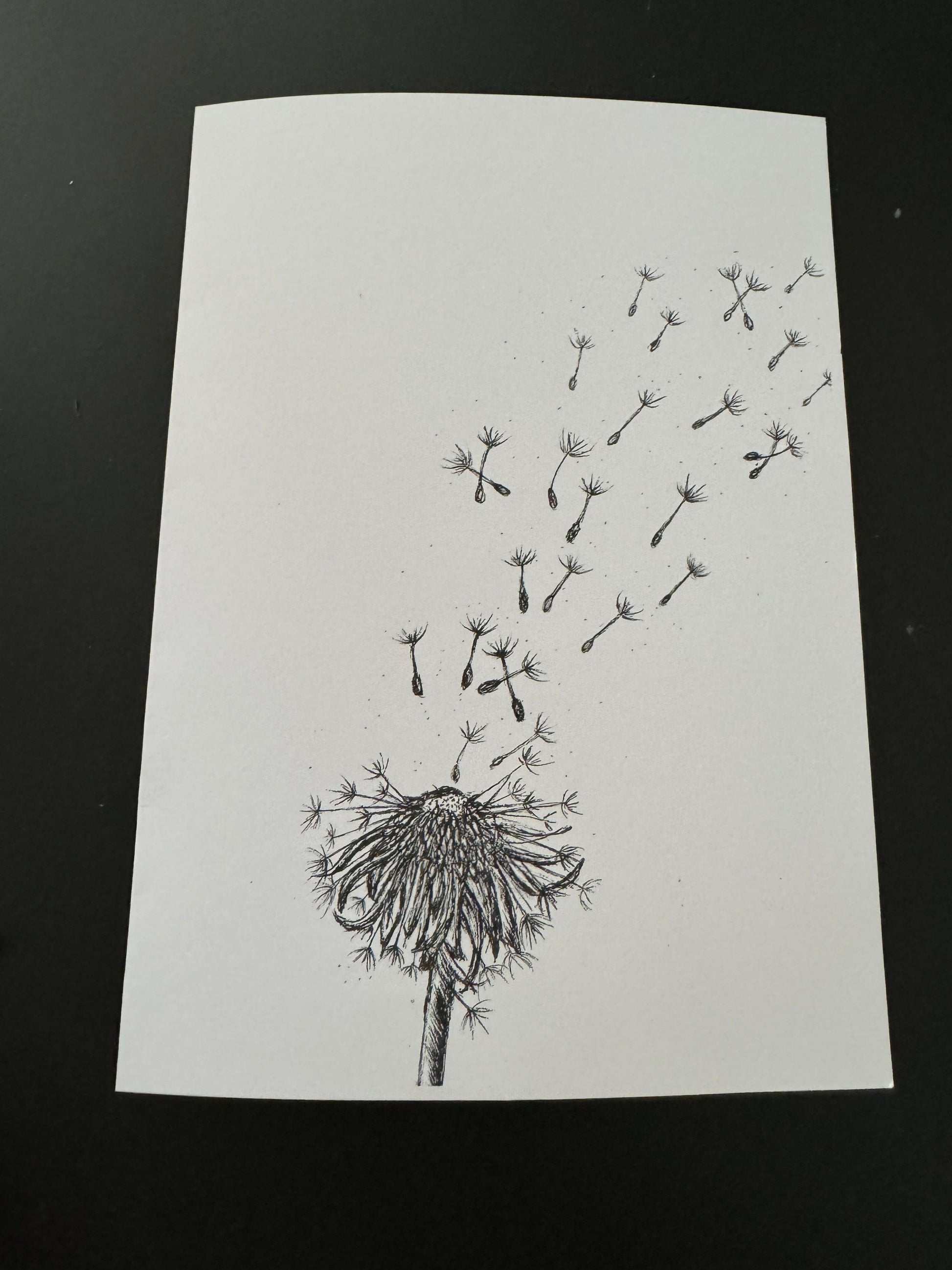 Dandelion Art Print Greetings Card