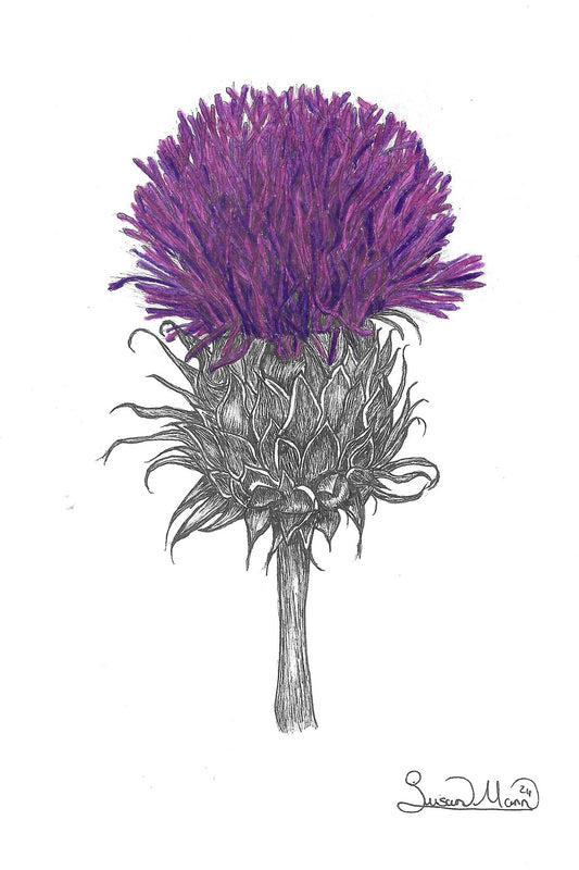 Purple Thistle Art Print