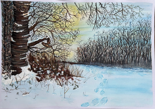 Footprints in fresh snow beside a forest of bare trees under a soft sky