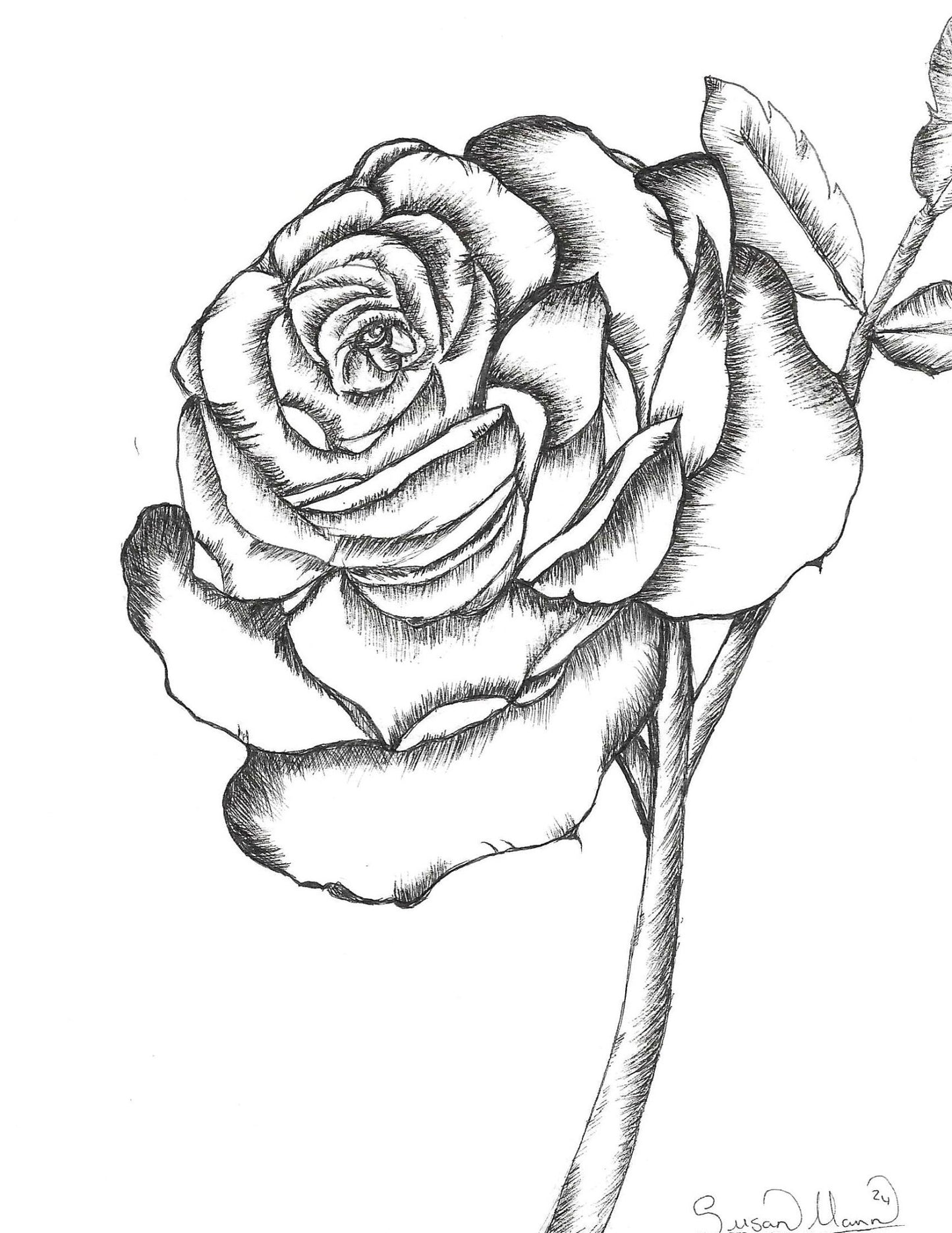 Black and White Rose Art Print - Susan Mann Art