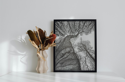 Intricate black and white pen drawing of trees viewed from below