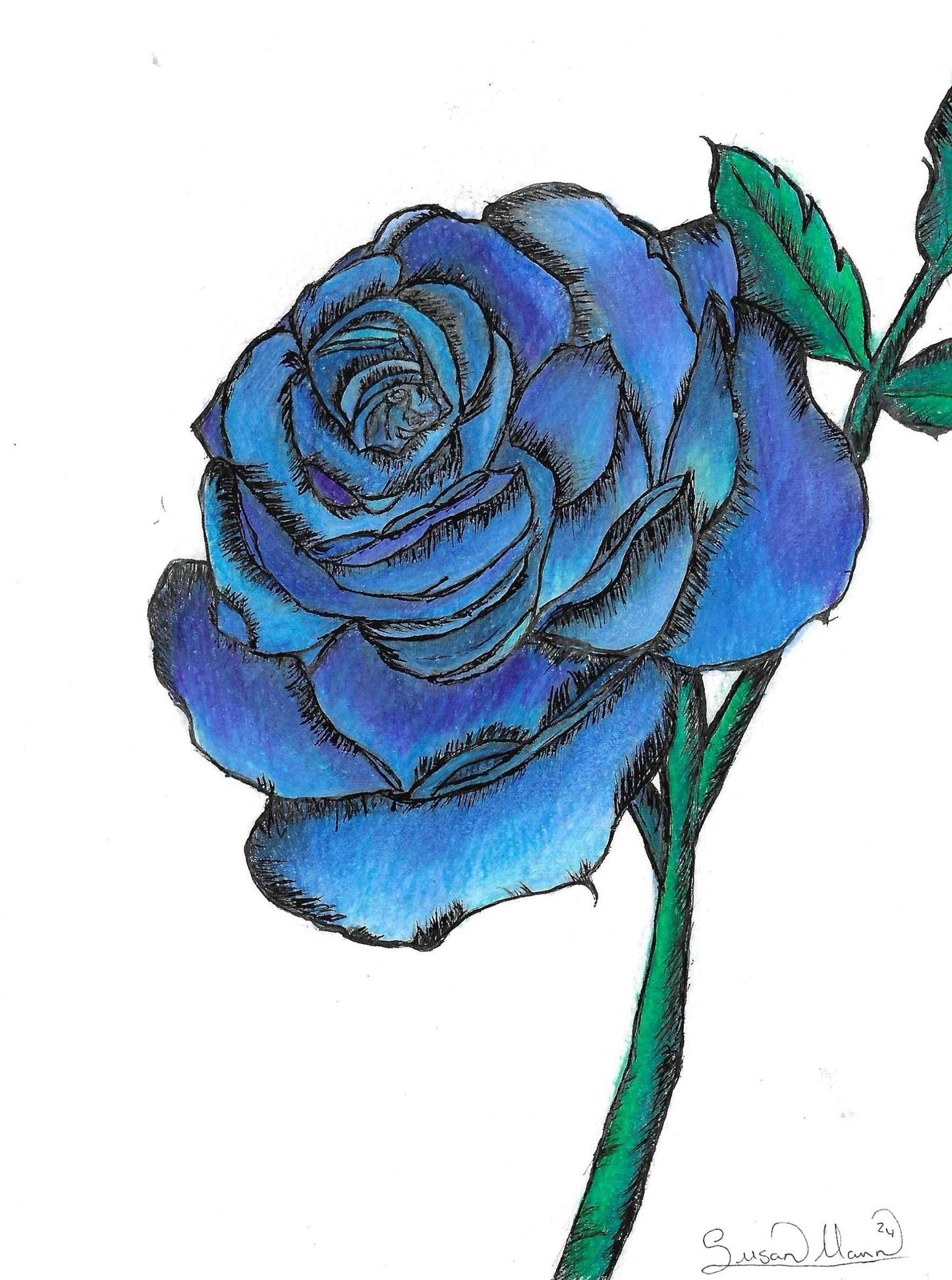 Blue Rose Art Print - Susan Mann Art