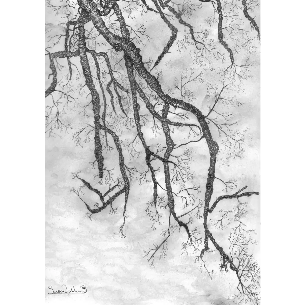 Branches Art Print - Susan Mann Art