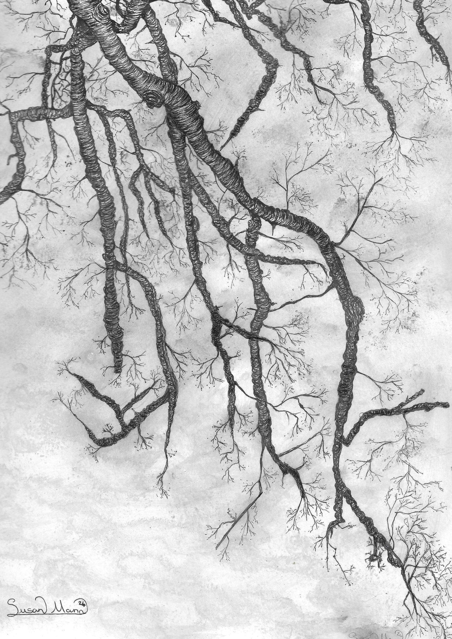 Branches Art Print - Susan Mann Art