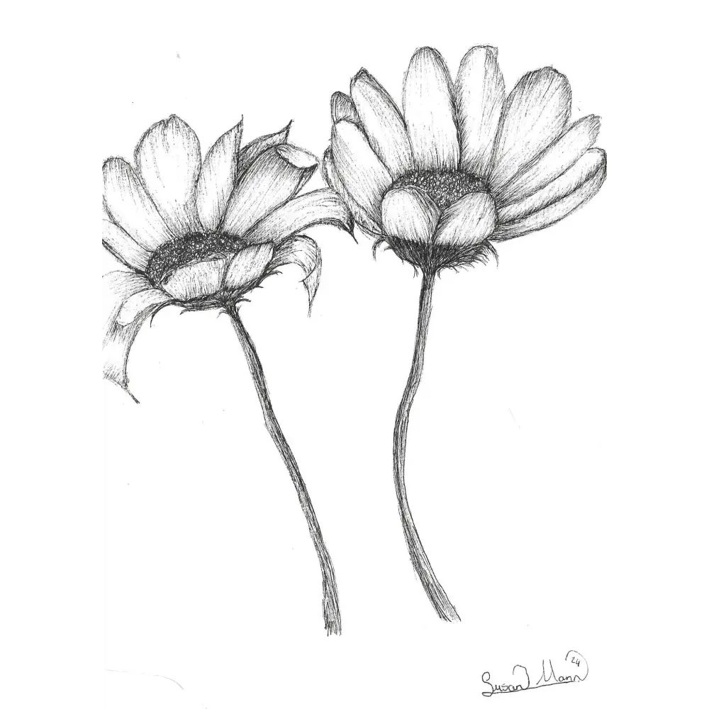 Daisy Art Print - Susan Mann Art