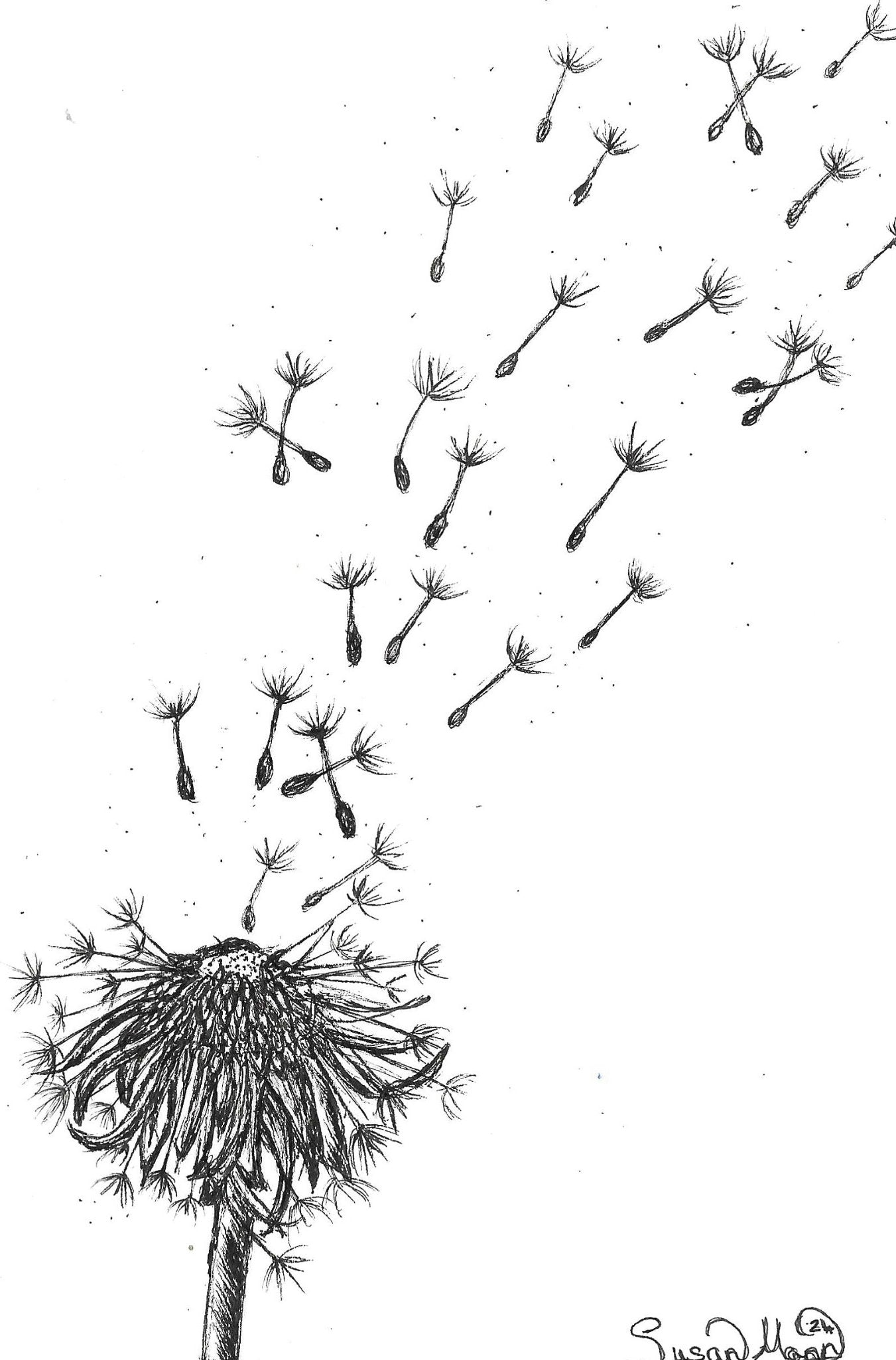 Dandelion Art Print - Susan Mann Art