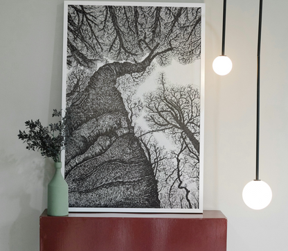 Black ink forest drawing showing twisted tree limbs and upward view