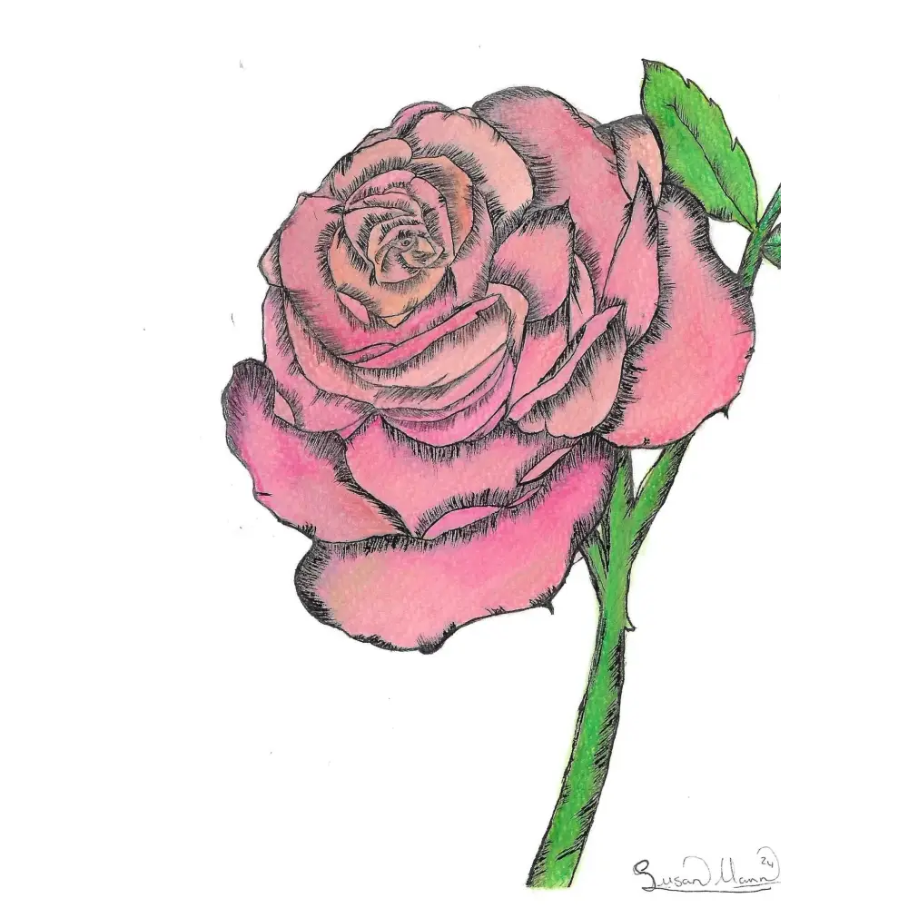 Pink Rose Art Print - Susan Mann Art