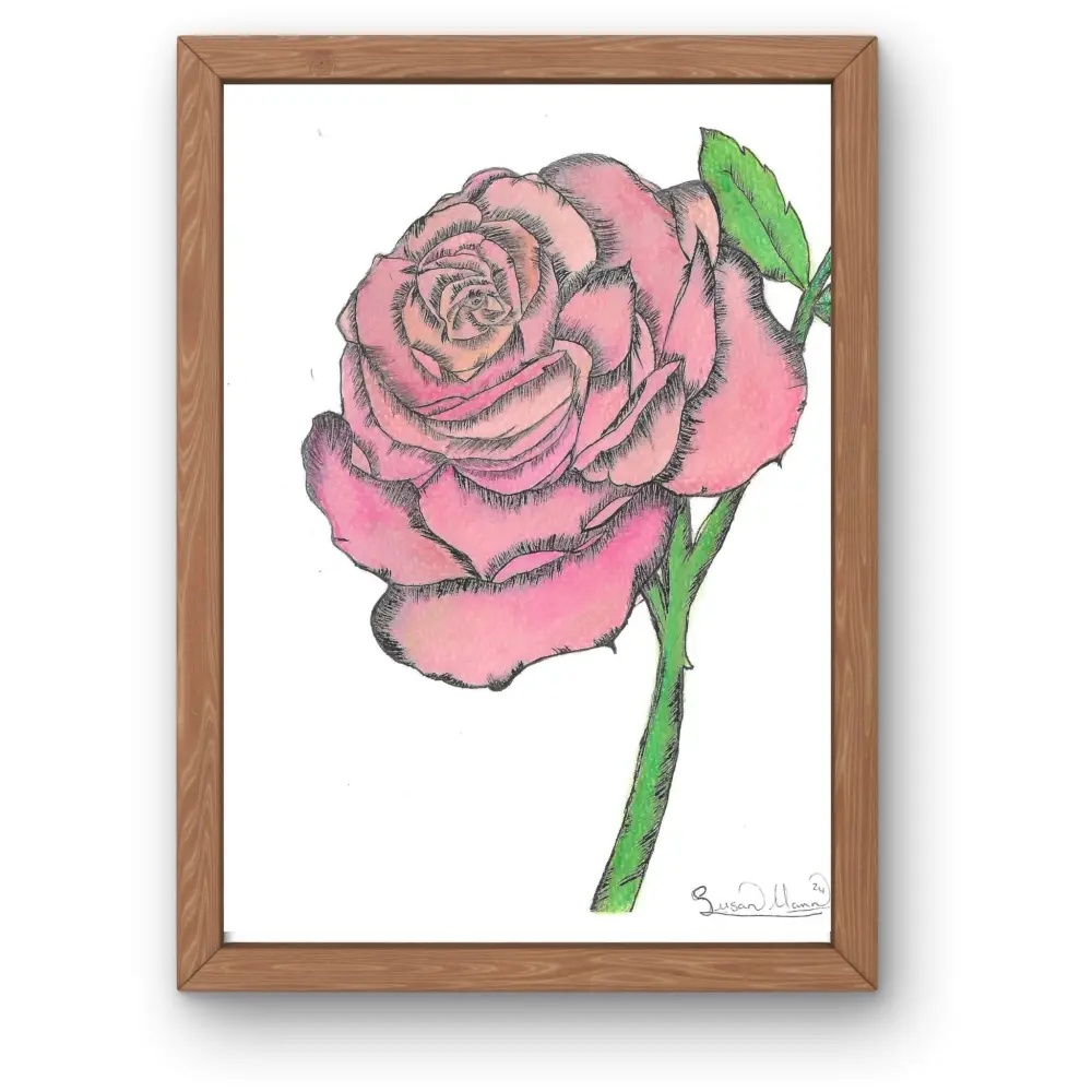 Pink Rose Art Print - Susan Mann Art