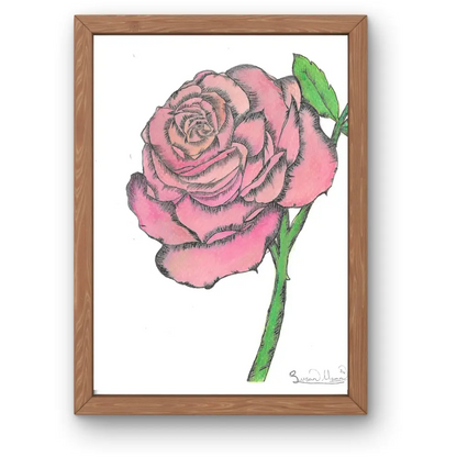 Pink Rose Art Print - Susan Mann Art