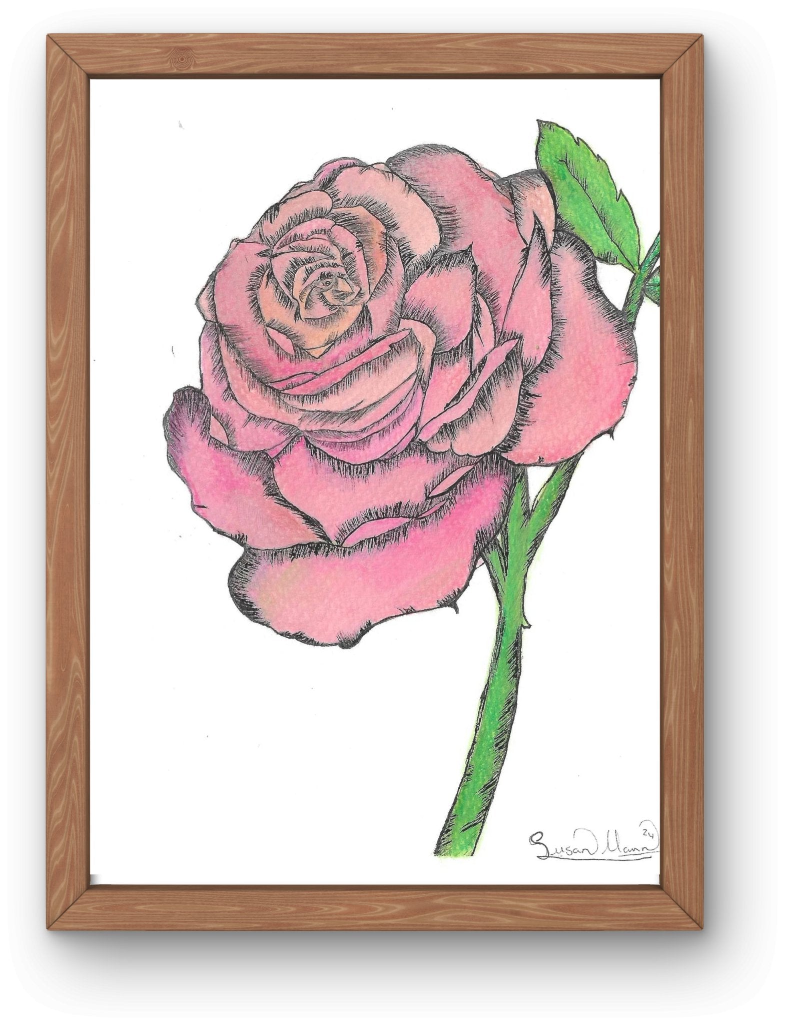 Pink Rose Art Print - Susan Mann Art