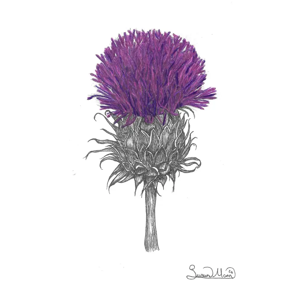 Purple Thistle Art Print