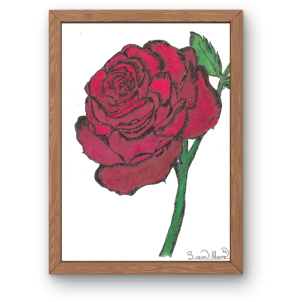 Red Rose Art Print - Susan Mann Art