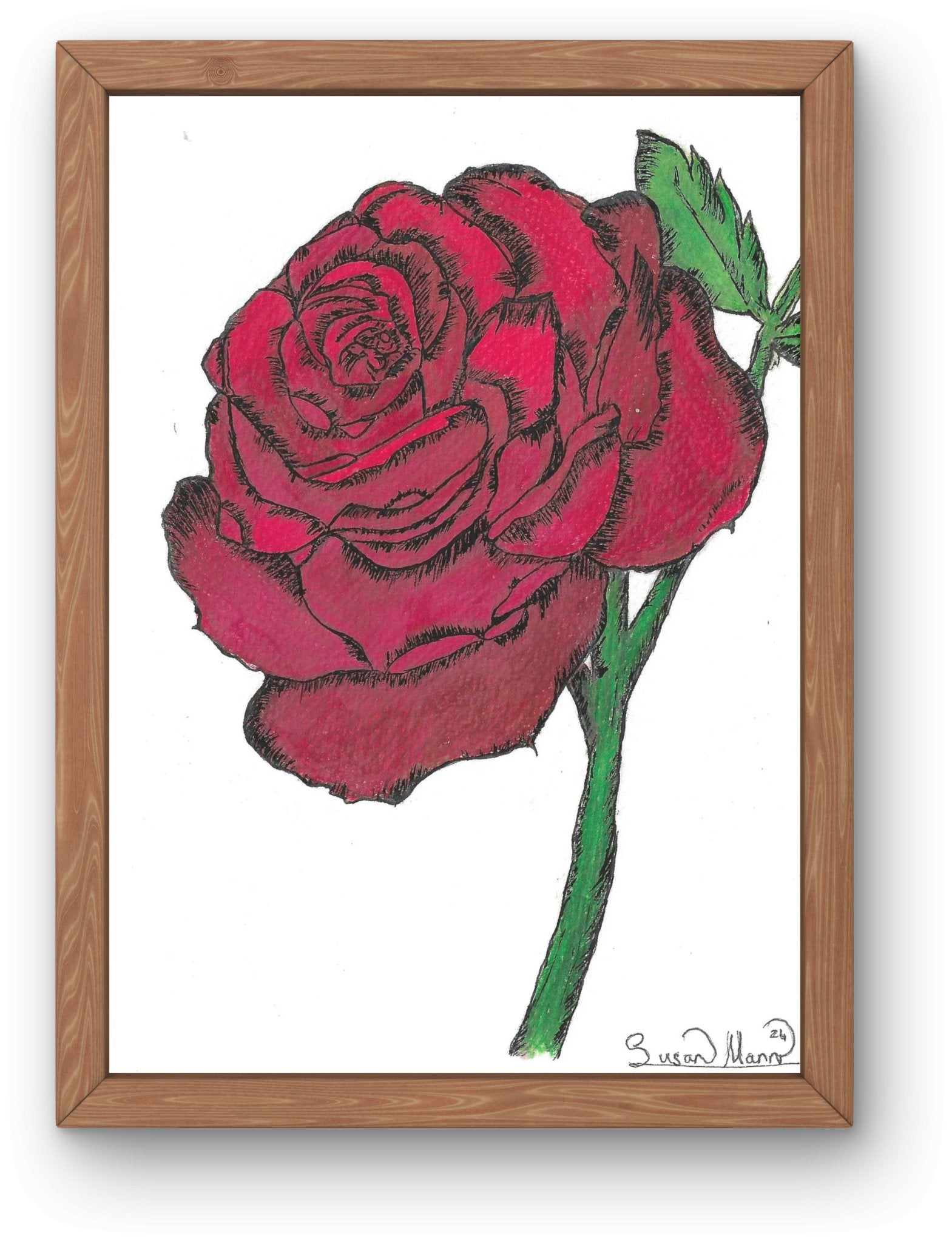 Red Rose Art Print - Susan Mann Art