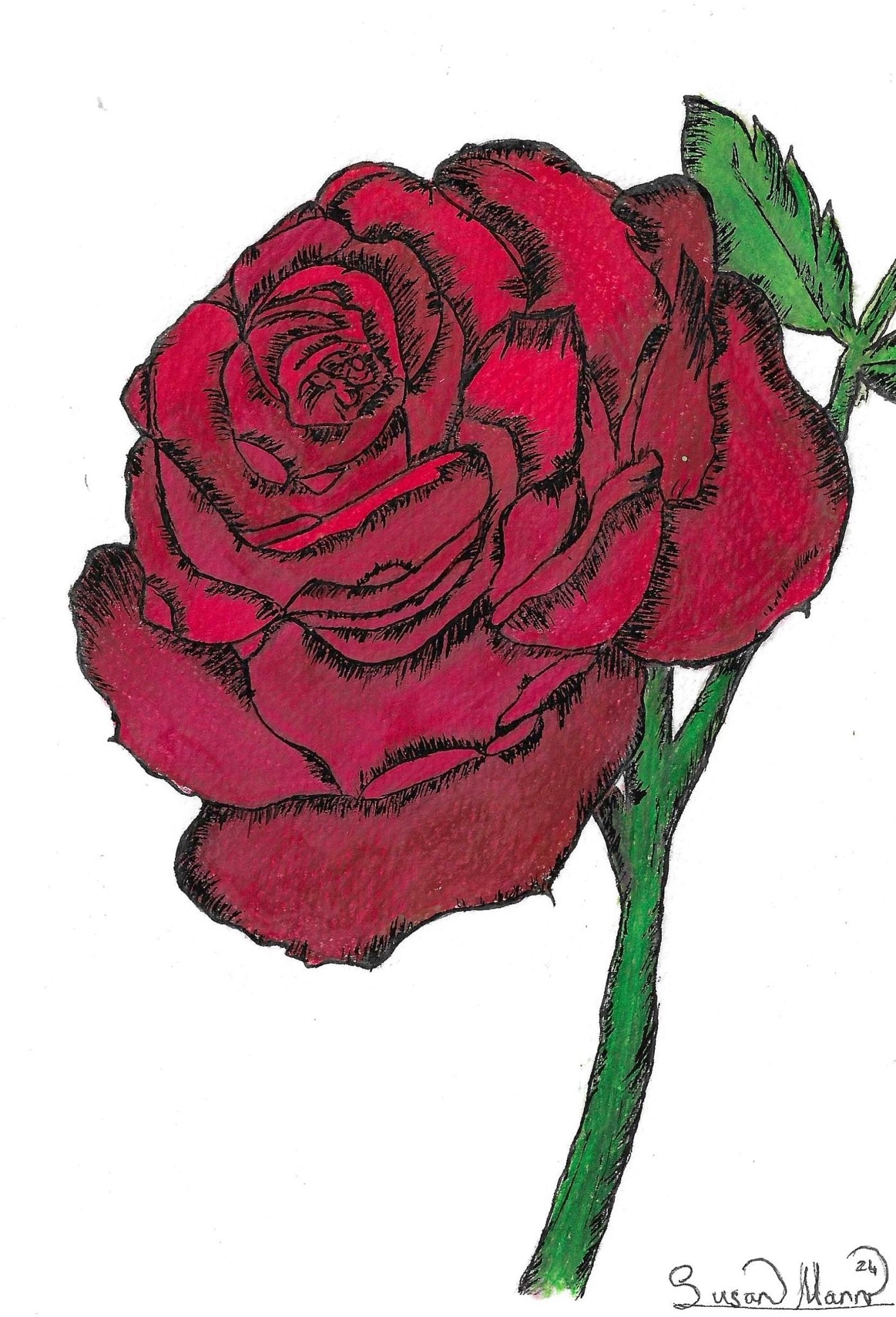 Red Rose Art Print Greeting Card - Susan Mann Art