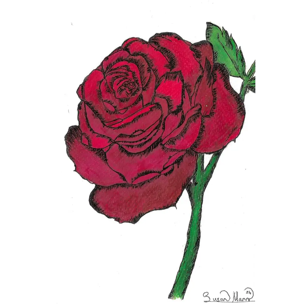 Red Rose Art Print Greeting Card - Susan Mann Art