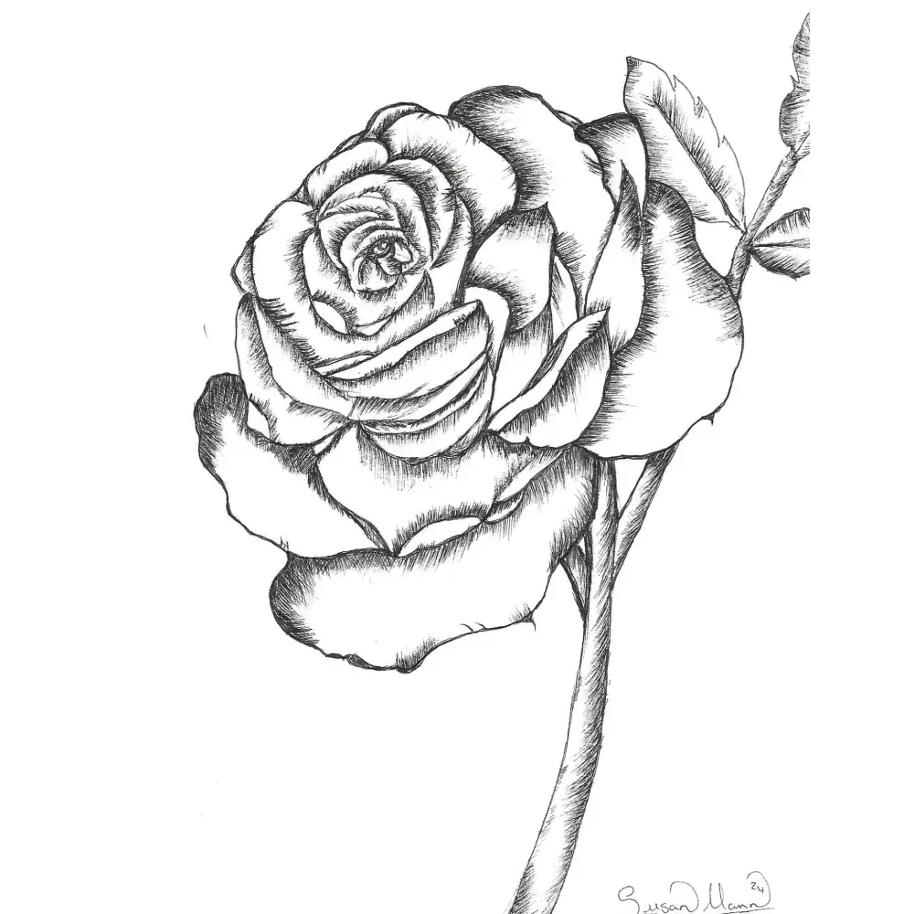 Black and White Rose Art Print Greeting Card - Susan Mann Art