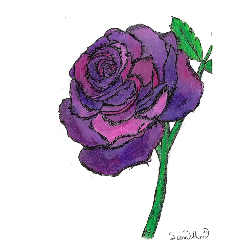 Purple Rose Art Print Greeting Card - Susan Mann Art