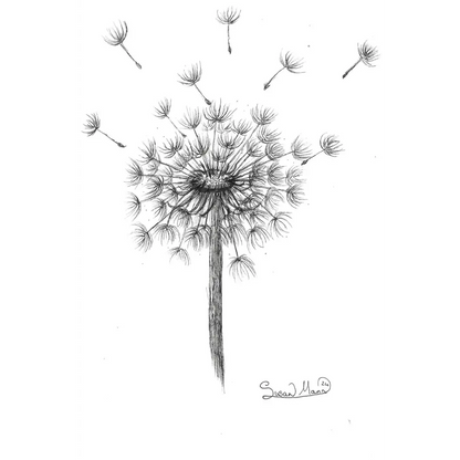 Dandelion Art Print single unframed