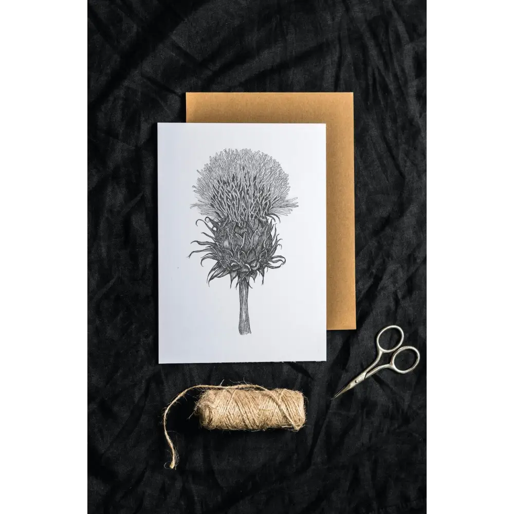 Thistle Greeting Card - Susan Mann Art