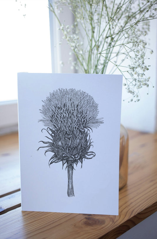 Thistle Greeting Card - Susan Mann Art