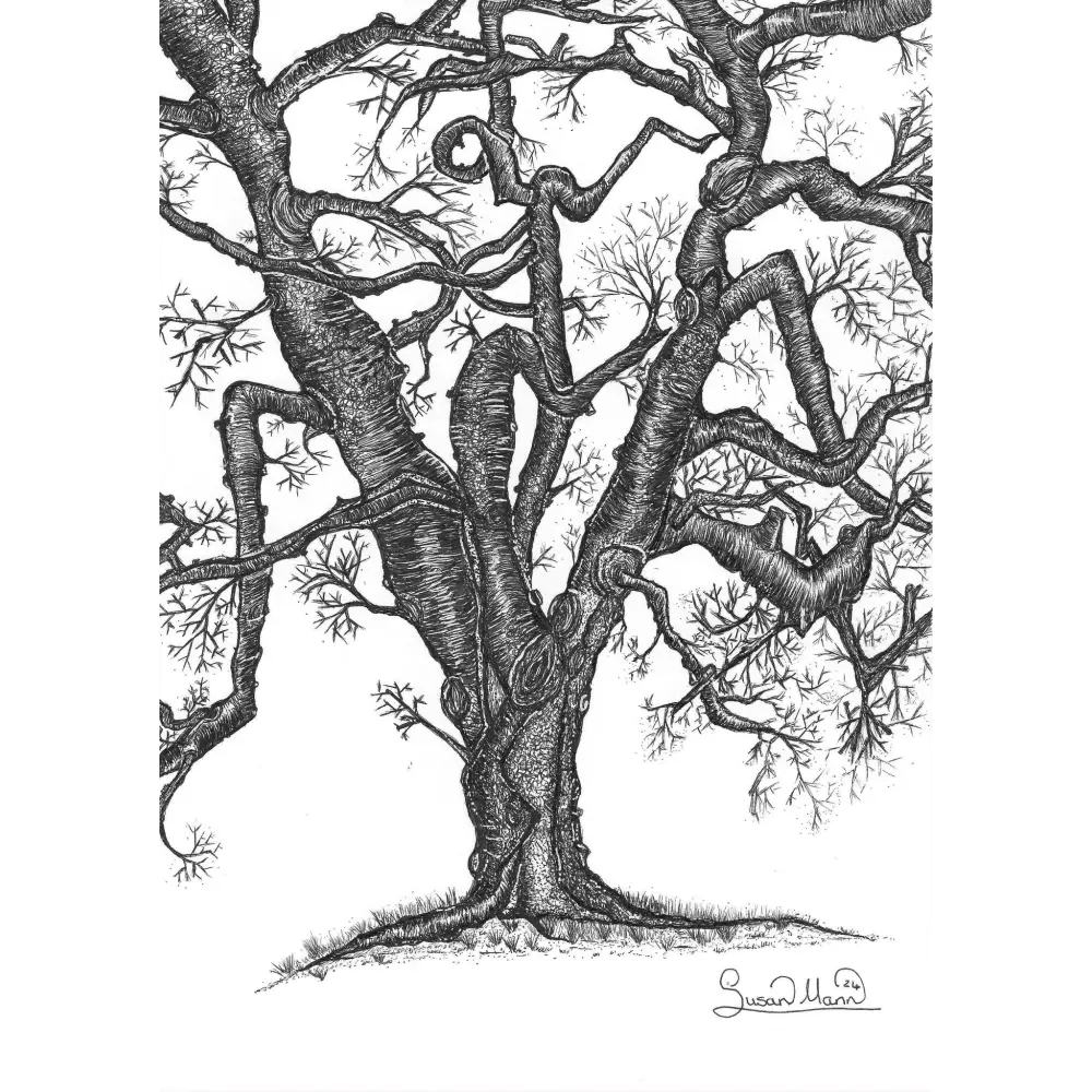 Twisted Tree Art Print - Susan Mann Art