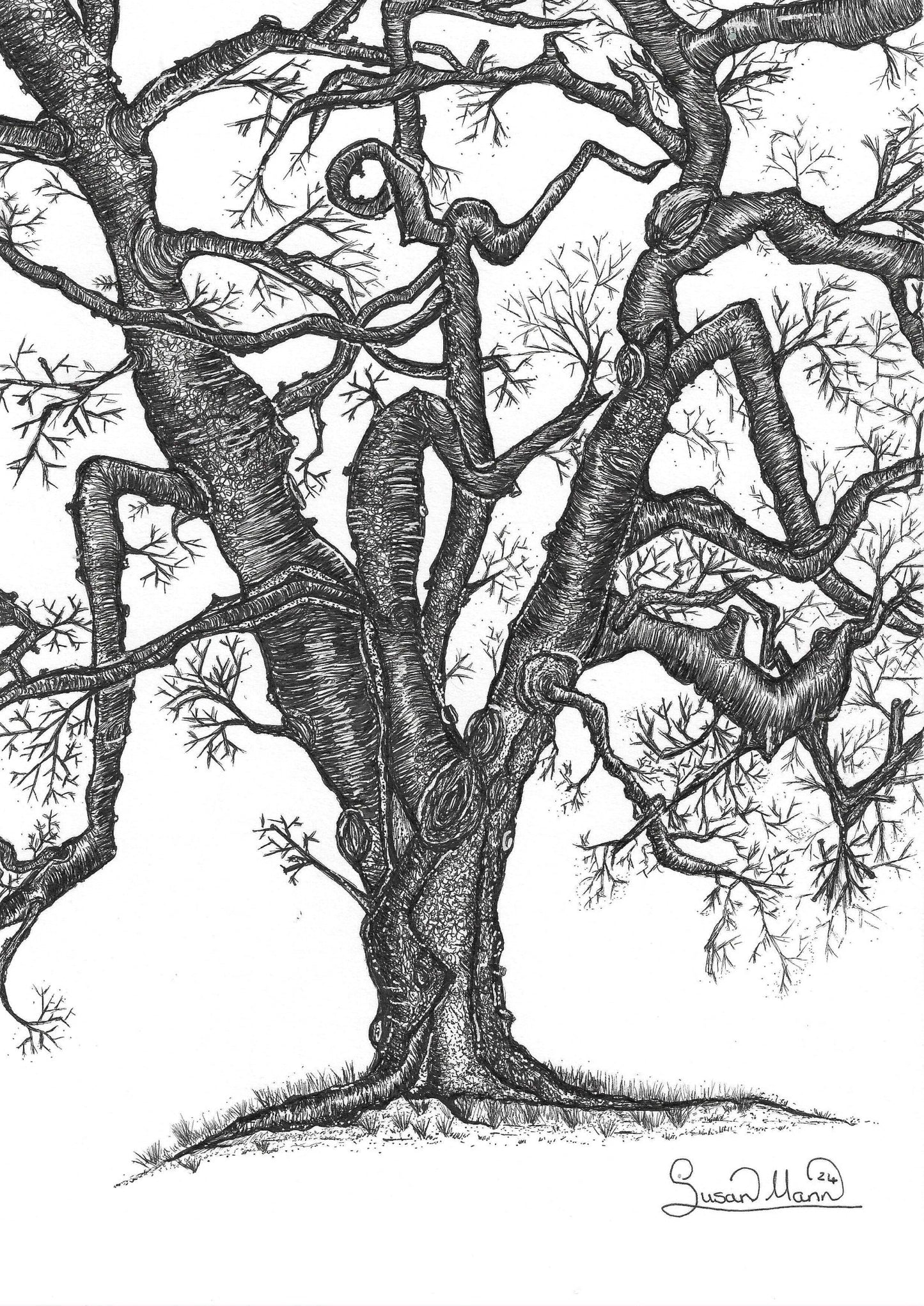 Twisted Tree Art Print - Susan Mann Art