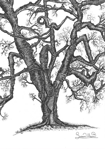 Twisted Tree Art Print - Susan Mann Art