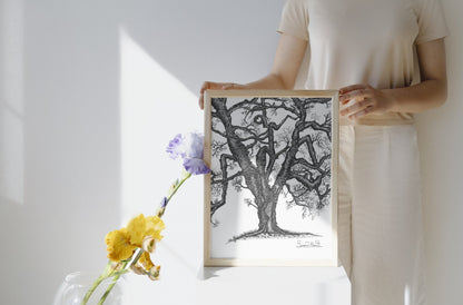 Twisted Tree Art Print - Susan Mann Art