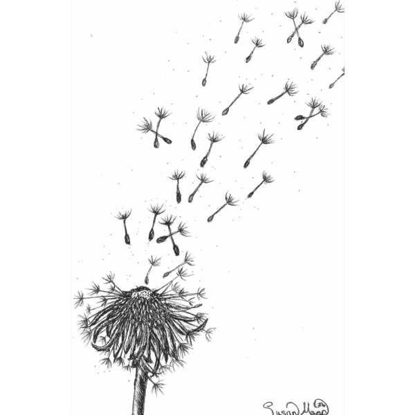 Make a Wish Greeting Card - Susan Mann Art